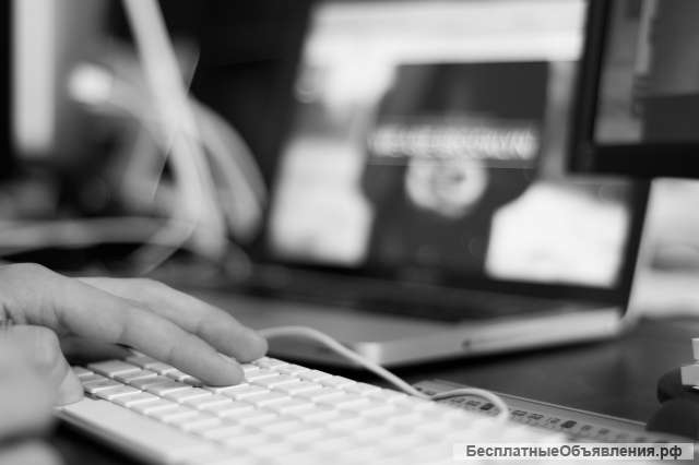 Создание и разработка сайтов на WordPress
