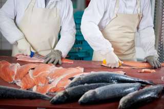Разнорабочие на завод морепродуктов МОСКВА ВАХТА от 45 дней с проживанием