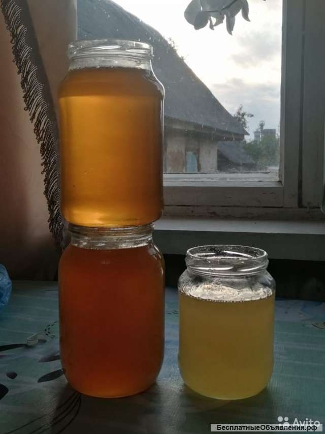 Мед оптом, продам мед опт