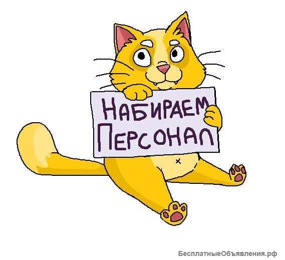 Менеджер по подбору и обучению персонала