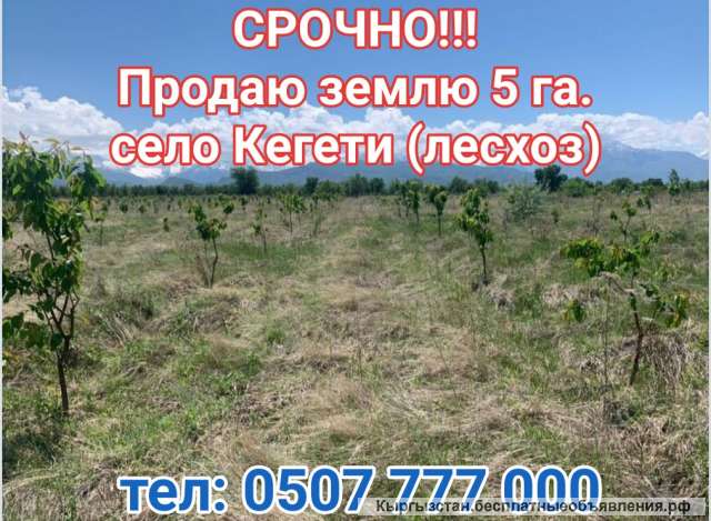 Землю 5 га. село Кегети (лесхоз).