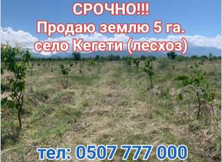 Землю 5 га. село Кегети (лесхоз).