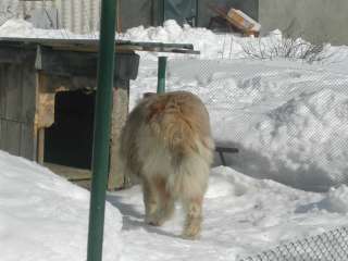 Магазин в аренду