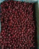 Вишня замороженная, БЕЗ КОСТОЧЕК