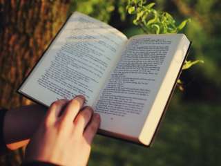 Сниму 1 комнатную квартиру
