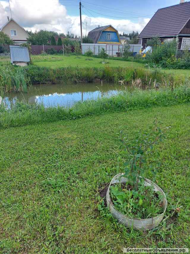 Участок