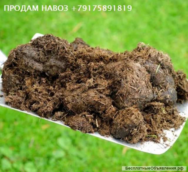 Навоз. Любые объемы