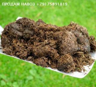 Навоз. Любые объемы