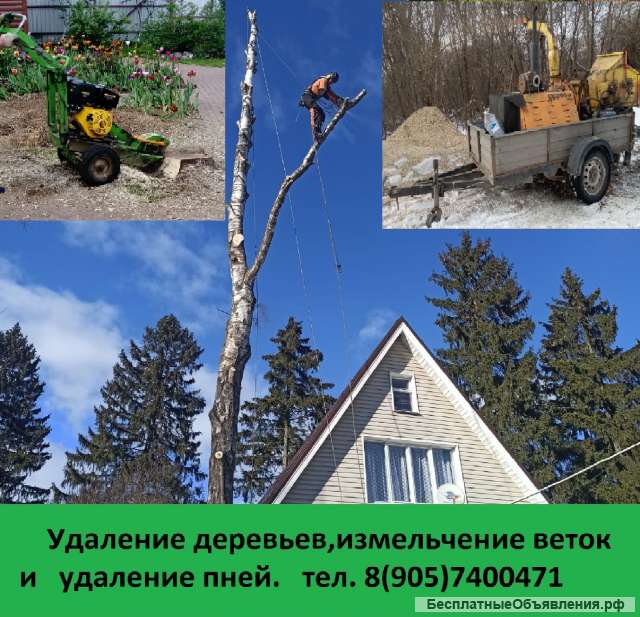 Расчистка участка и удаление деревьев