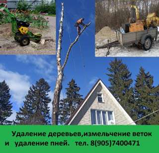 Расчистка участка и удаление деревьев