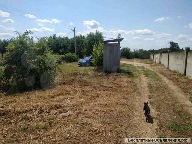 Участок 5,6 сот. (СНТ, ДНП)