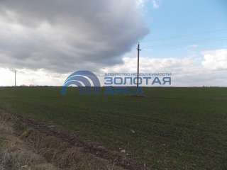 Земельный участок сельхоз назначения