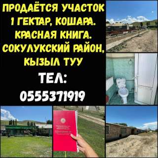 Участок 1 гектар, кошара. Сокулукский район, Кызыл Туу