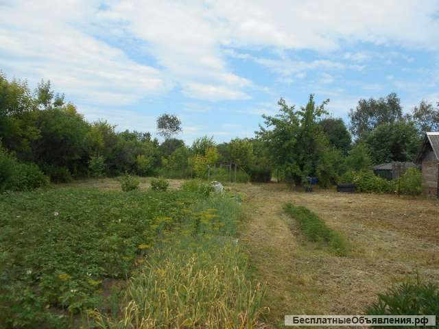 Дом с землей в д. Кузнецы