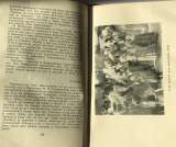 В.Булгаков. Л.Н.Толстой в последний год его жизни