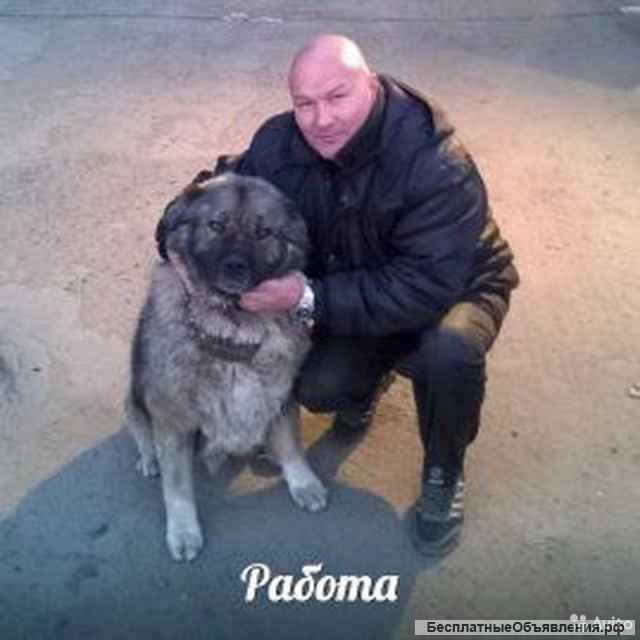 Охранник вахтовым методом