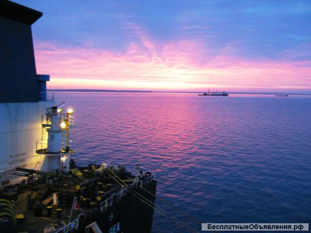 Требуются специалисты на судостроение и судоремонт