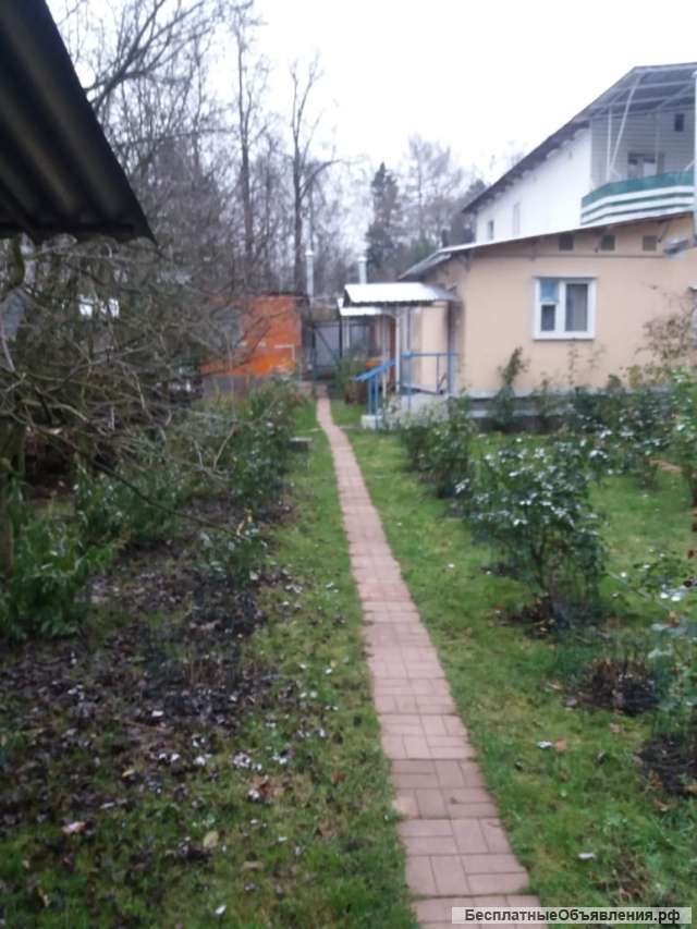 Мини-студию в Пушкино