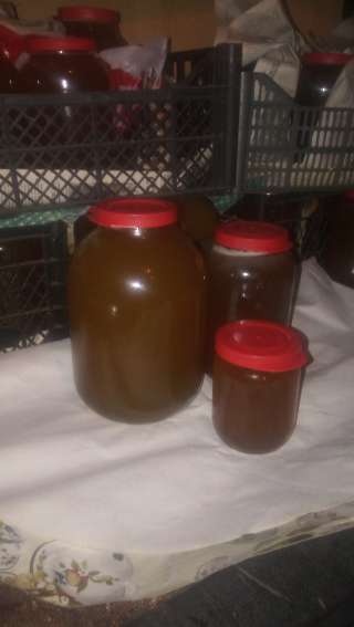 Мёд со своей пасеки