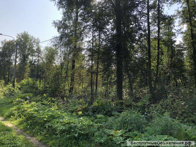 Даром-Перхурово участок