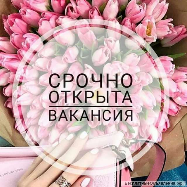 Ищу партнёров в первую линию