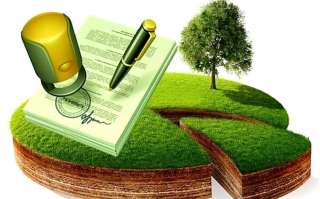 Снятие мелиорации, вывод из лесного фонда