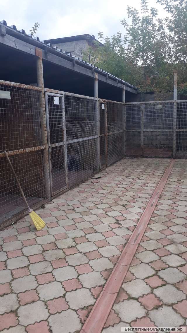 Сдам питомник для собак