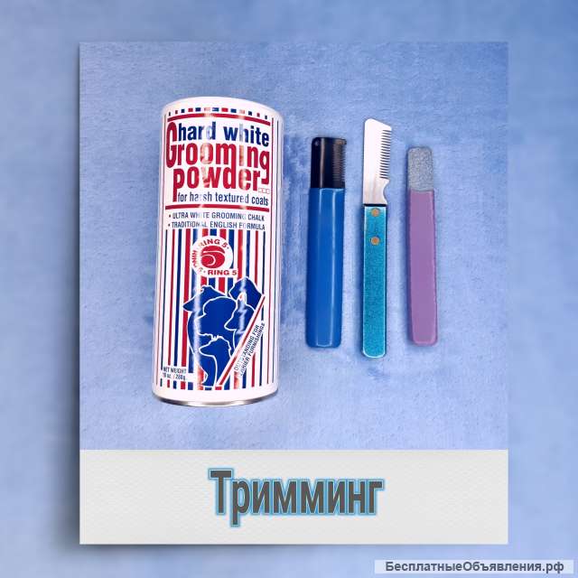 Тримминг для жесткошерстных терьеров