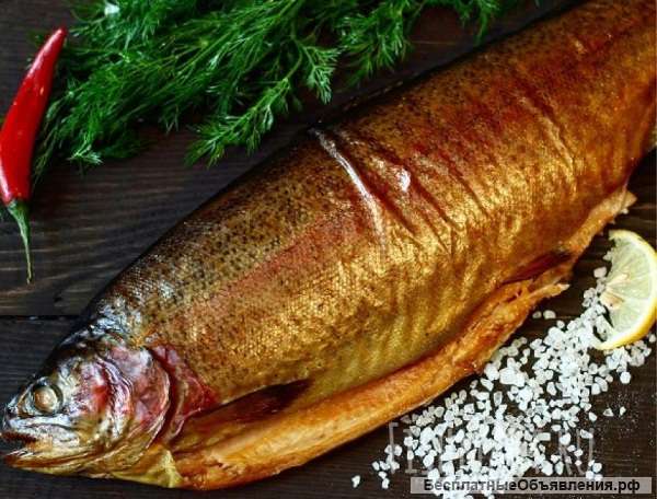 Муксун, Омуль, Сиг, Форель - х/к, г/к в Москве