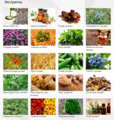 Растительные экстракты для косметических, пищевых и фармацевтических производств