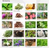 Растительные экстракты для косметических, пищевых и фармацевтических производств