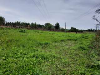 Участок 30 соток в д. Бабино. Лпх. Рядом лес, водохранилище