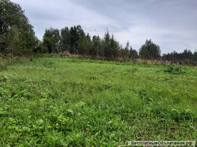 Участок 30 соток в д. Бабино. Лпх. Рядом лес, водохранилище