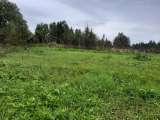 Участок 30 соток в д. Бабино. Лпх. Рядом лес, водохранилище