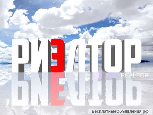 Риэлтор/агент по недвижимости