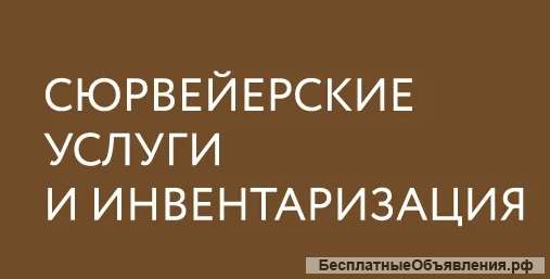 Сюрвейерские услуги