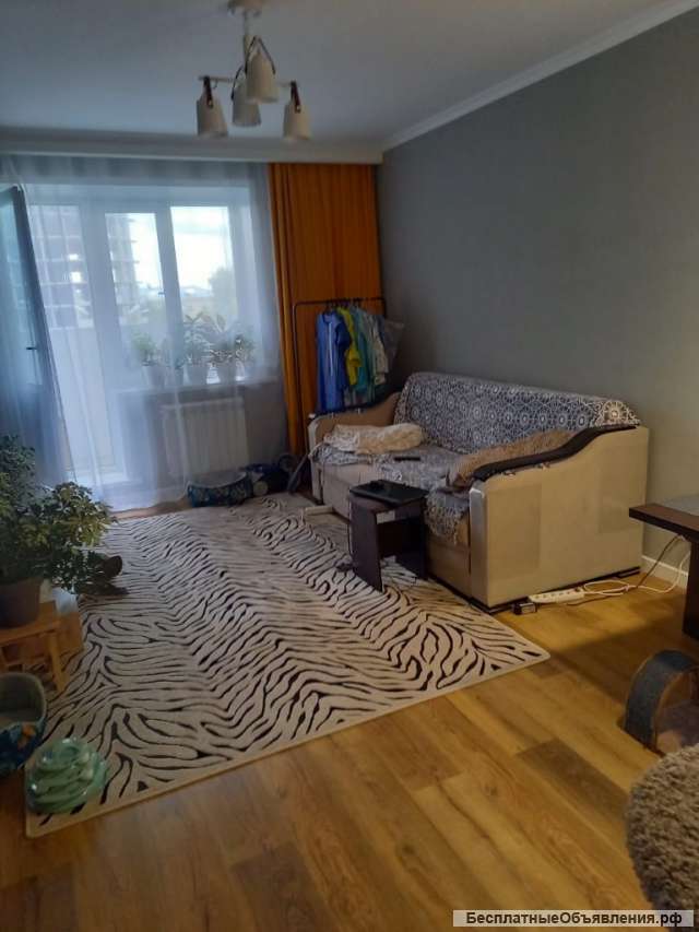 Студия
