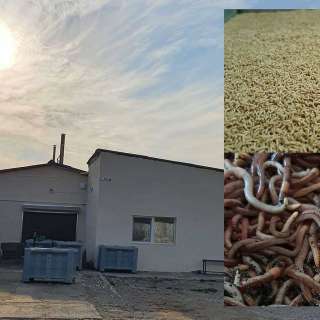 Опарыш опт