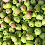 Яблоки из экологически чистого района Московской области