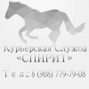 Курьерская служба "СПИРИТ"