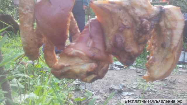 Магазин беларуский товаров продукты