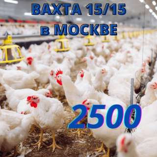 Разнорабочий на птицефабрику вахта Москва 15/30 Питание/Жилье м/ж
