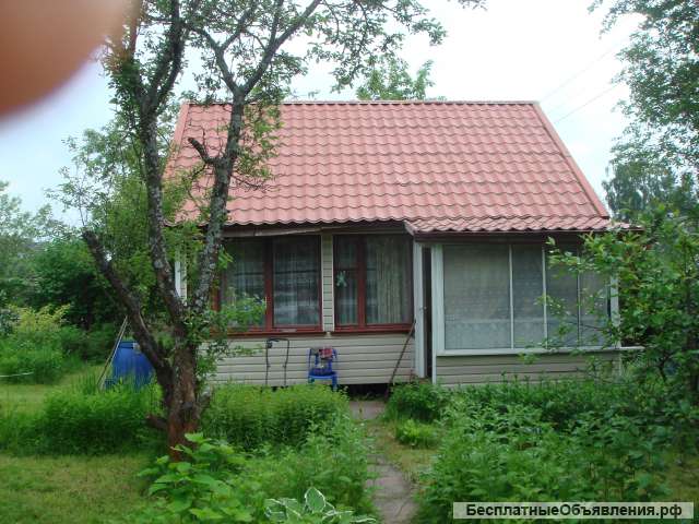 Снт Дачи Фото