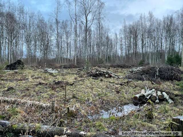 Участок 12 сот. (ИЖС) в черте Выборга