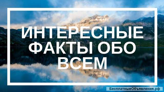 Книга Удивительное рядом