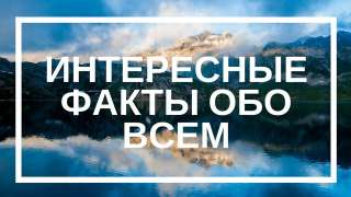 Книга Удивительное рядом