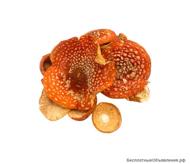 Сухие шляпки красного мухомора