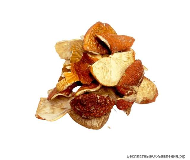 Сухой ЛОМ красного мухомора