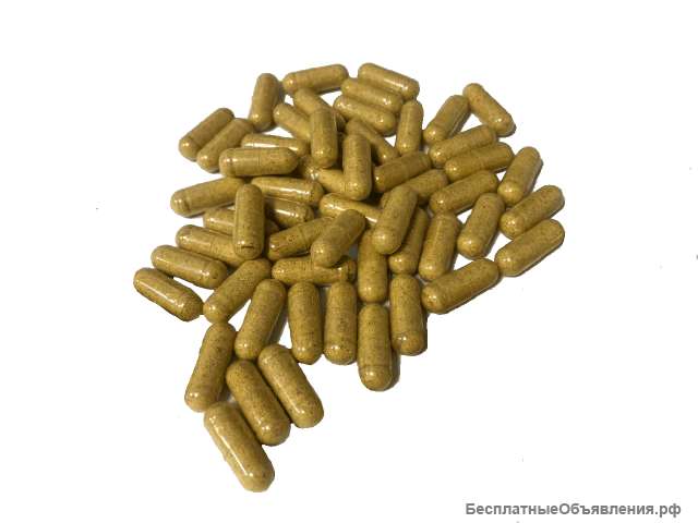 Капсулы перетёртого красного сушёного мухомора