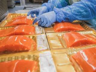 Работа, Вахта, фасовщицы морепродуктов, питание, проживание, зарплата до 118 800руб. за вахту.